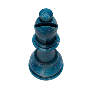 Ocean Bishop